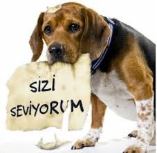 BENDE :(