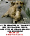 /album/resim-galerisi/sokak-hayvanlari-438831-jpg/