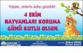 /album/resim-galerisi/a25252-jpg/